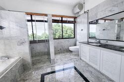 Bukit Timah Road (D10), Detached #544434811